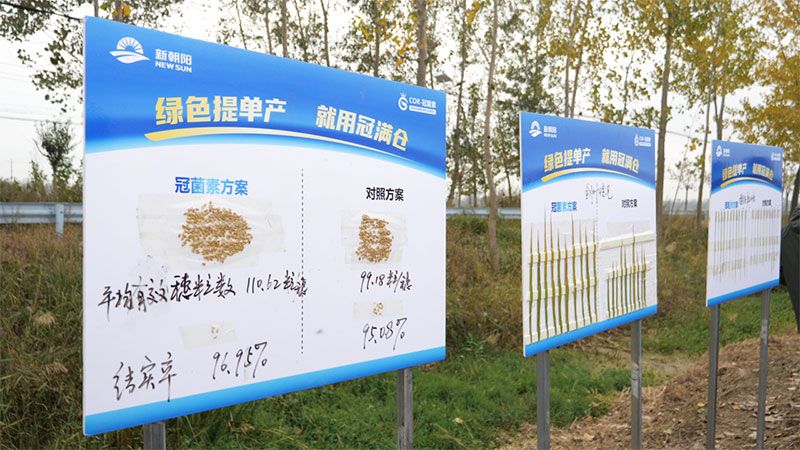 綠色提單產就用冠菌素 開辟糧食抗逆增產新路徑