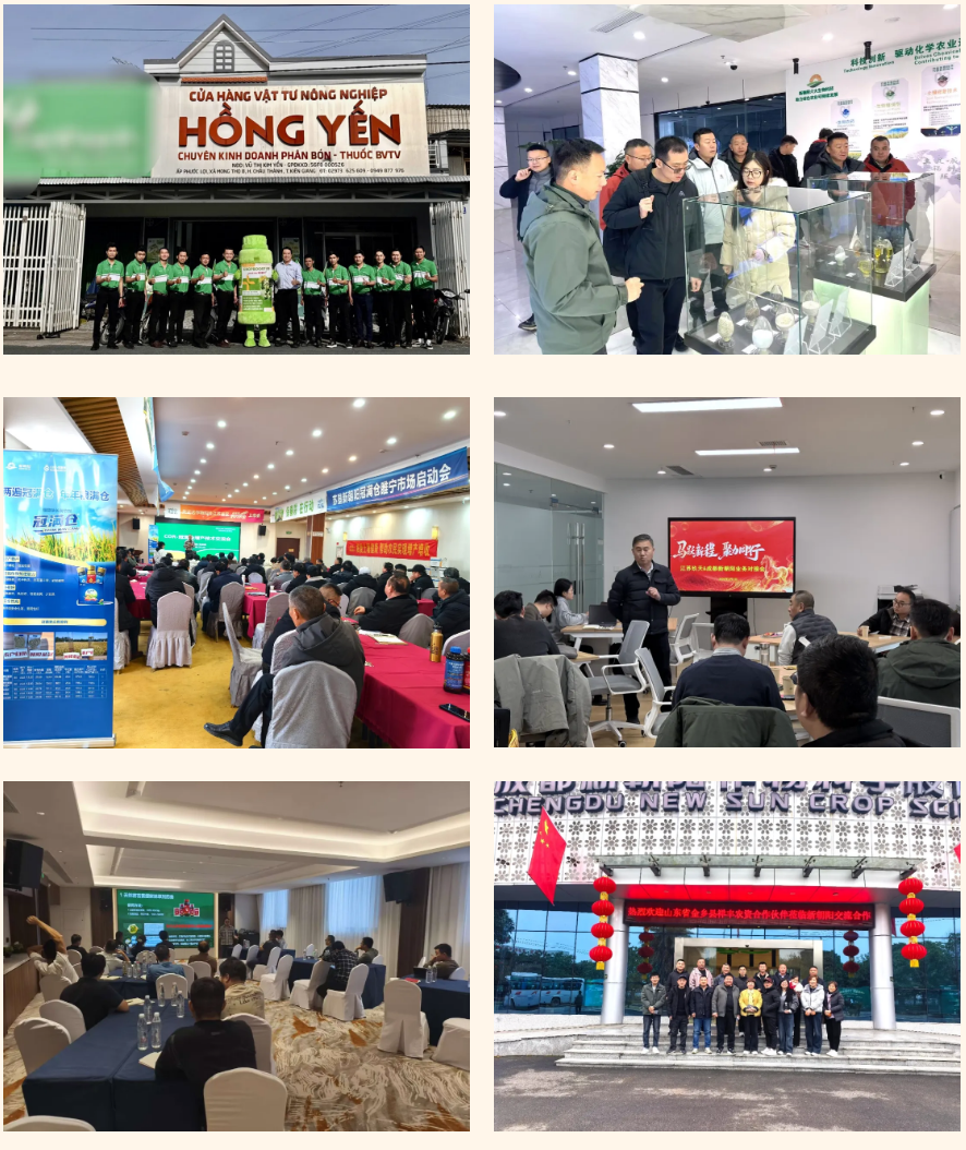 快馬加鞭戰春耕，馬年奮進正當時